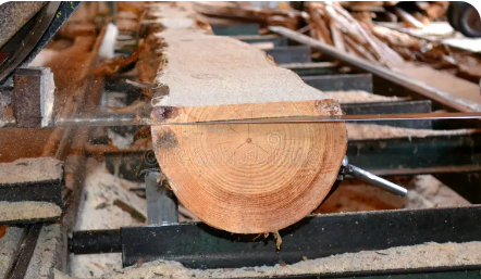 Timber received and verified at port